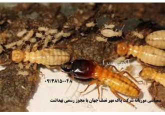 سمپاشی موریانه ، سوسک ، ساس