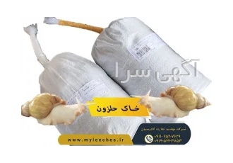 خرید خاک نگهداری حلزون اچاتینا البینو در ابرکوه برای خرید خاک مناسب