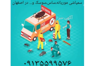 سمپاشی سوسک فاضلاب به صورت شبانه روزی