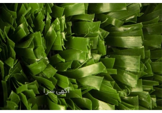 فروش اینترنتی انواع چمن مصنوعی