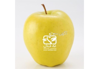 نهال سیب گلدن دلیشیز نهالستان تک فیدان در اصفهان نهال سیب گلدن دلیشیز