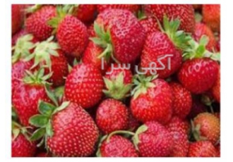فروش عمده میوه و تره بار مرغوب