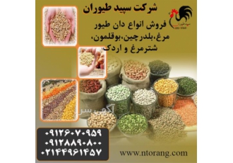 فروش خوراک شترمرغ بهترین کیفیت طیور در تهران فروش خوراک شترمرغ بهترین