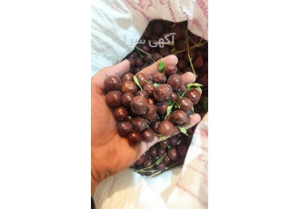 فروش عناب صادراتی و درجه یک در ارومیه فروش عناب صادراتی و درجه یک مناسب