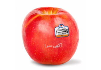 فروش نهال سیب قیمت نهال سیب نهالستان سیب در زاهدان فروش نهال سیب