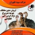 عرضه و فروش جوجه شترمرغ یک ماهه در تهران عرضه و فروش جوجه شترمرغ یک