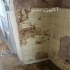 سمپاشی سوسک کابینت با مجوز رسمی در اصفهان سمپاشی سوسک کلینیک خدمات