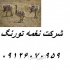 جوجه شترمرغ ۱ ماهه تا چهار ماهه طیور در تهران جوجه شترمرغ 1 ماهه تا