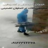 سمپاشی سوسک فاضلاب و سایر حشرات به صورت تضمینی در اصفهان متخصص ریشه کن