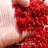 فروش انواع زرشک صادراتی فروش زرشک تازه در سنندج جهت استعلام قیمت روز