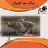 شترمرغ ۲ ماهه قیمت فروش جوجه شترمرغ طیور در تهران شترمرغ 2 ماهه