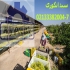 سبد ۲۰ کیلویی انگور سبد مخصوص چیدن انگور در تاکستان سبد انگور 20