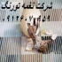 فروش جوجه شترمرغ یک روزه در تهران فروش شترمرغ یک روزه شترمرغ یک روزه