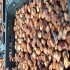 فروش ضایعات خرما زاهدی لواشکی و شیره دار در تبریز فروش خرمای گوشتی