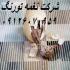 قیمت و نحوه خرید و فروش شترمرغ مولد در تهران قیمت و نحوه خرید و فروش
