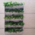 اجرای دیوار سبز فلاور باکس green wall در آستانه اشرفیه اجرای دیوار