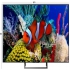 خرید تلویزیون هوشمند UHD ۴K سونی KD ۴۳XE۷۰۰۵ اصل در ورامین فقط فروش