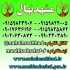 فروش نهال سیب گلدن دلیشز در مشهد فروش نهال میوه سیب گلدن دلیشز زرد سیب