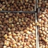 فروش عمده خرمای زاهدی درجه یک صادراتی در دماوند فروش خرمای زاهدی درجه