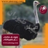 فروش جوجه شترمرغ ۱۰ روزه خرید شترمرغ پرواری در تهران جوجه شترمرغ 10