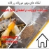سمپاشی کک در منازل و امکان عمومی با بهترین کیفیت در اصفهان سمپاشی کک