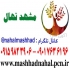 فروش نهال سیب شیخ امیری در مشهد فروش نهال میوه سیب شیخ امیری سیب شیخ