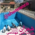 فروش آب بندی و عایق کاری استخر در محمودآباد گروه فنی مهندسی شمران