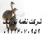 فروش و قیمت شترمرغ در سنین مختلف در رباط کریم فروش و قیمت جوجه شترمرغ