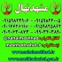 فروش نهال سیب سیاه جرومین در مشهد فروش نهال میوه سیب سیاه جرومین سیب
