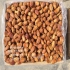 خرمای زاهدی اعلا درجه یک جهرم در آبسرد با سلام بنده باغ خرما و مرکبات