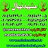 فروش نهال سیب شیخ امیری در مشهد فروش نهال میوه سیب شیخ امیری سیب شیخ