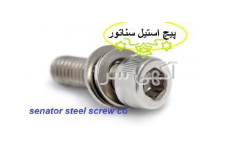 پیچ استیل سناتور پیچ و مهره پیچ فولادی
