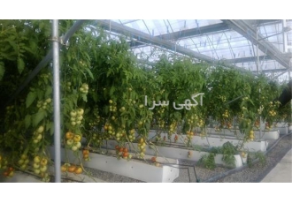 طراحی، مشاوره و ساخت انواع گلخانه های صنعتی