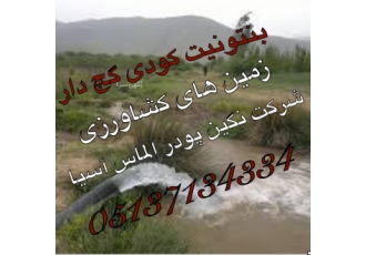 بنتونیت گچ دار کودی