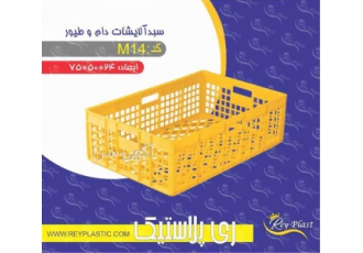 سبد 40 کیلویی سبزی