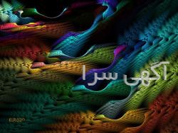 تولیدی کفش fashion