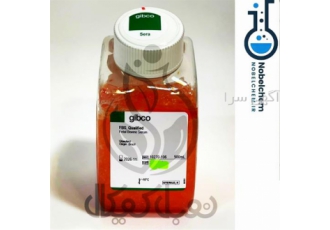 فروش سرم جنین گاوی &#۱۶۰;fbs&#۱۶۰;گیبکو در تهران فروش سرم جنین گاوی