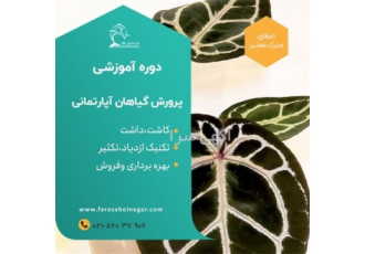 اجرای گلخانه هیدروپونیک گیاهان آپارتمانی
