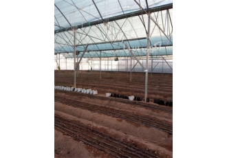 گلخانه های طرح اسپانیا