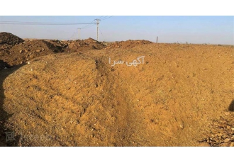 فروش کود حیوانی گاوی و خاک باغچه