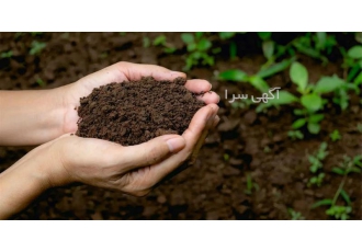 کود پوسیده دامی گاوی