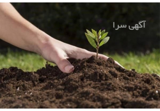 کود سرندی گاوی و گوسفندی خاک باغچه