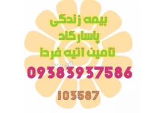 بیمه عمر پاسارگاد بیمه عمر پاسارگاد بیمه مسئولیت بیمه اشخاص بیمه بدنه