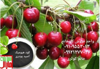 فروش کود کشاورزی - کود پلیت مرغی - فروش کود مایع