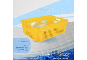 جعبه خرگوشی صادراتی
