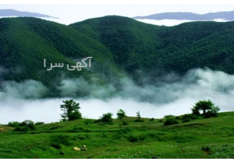 زمین ۲۳۰۰متری دنج در دل جنگل ✅مجوز ساخت ✅احداث بنا به مساحت 220 متر ✅