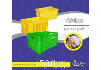 سبد مرغ کشتار _ سبد پروتئین