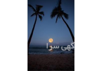 خرید و فروش یک واحد ۷۹ متری واقع در A۱ در کیش خرید و فروش آپارتمان 79
