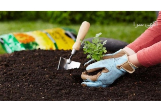 کود حیوانی گاوی گوسفندی خالص