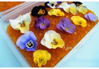 فروش سیلیکاژل مخصوص خشک کردن گل در مشهد فروش سیلیکاژل مخصوص خشک کردن گل